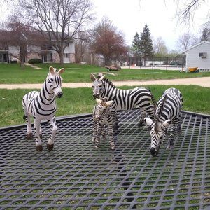 Lot of 4 zebras - 3 adults and one baby - 3 Schleich and 1 Terra by Battat